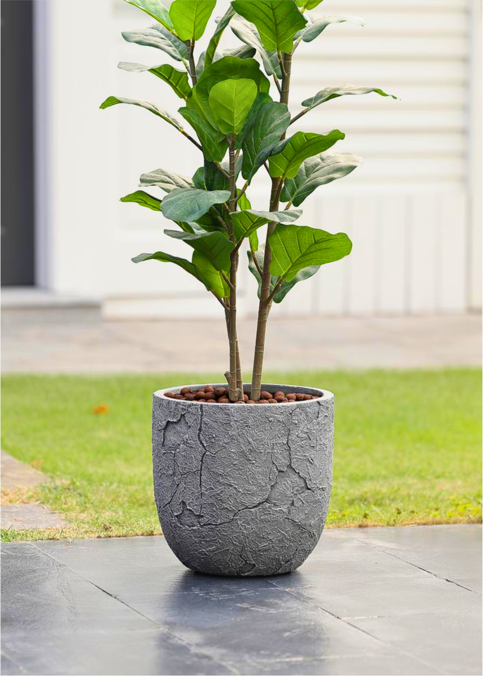 CEDARO PLANTER